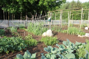 wide row raised bed gardening