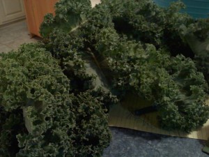 leafy green kale