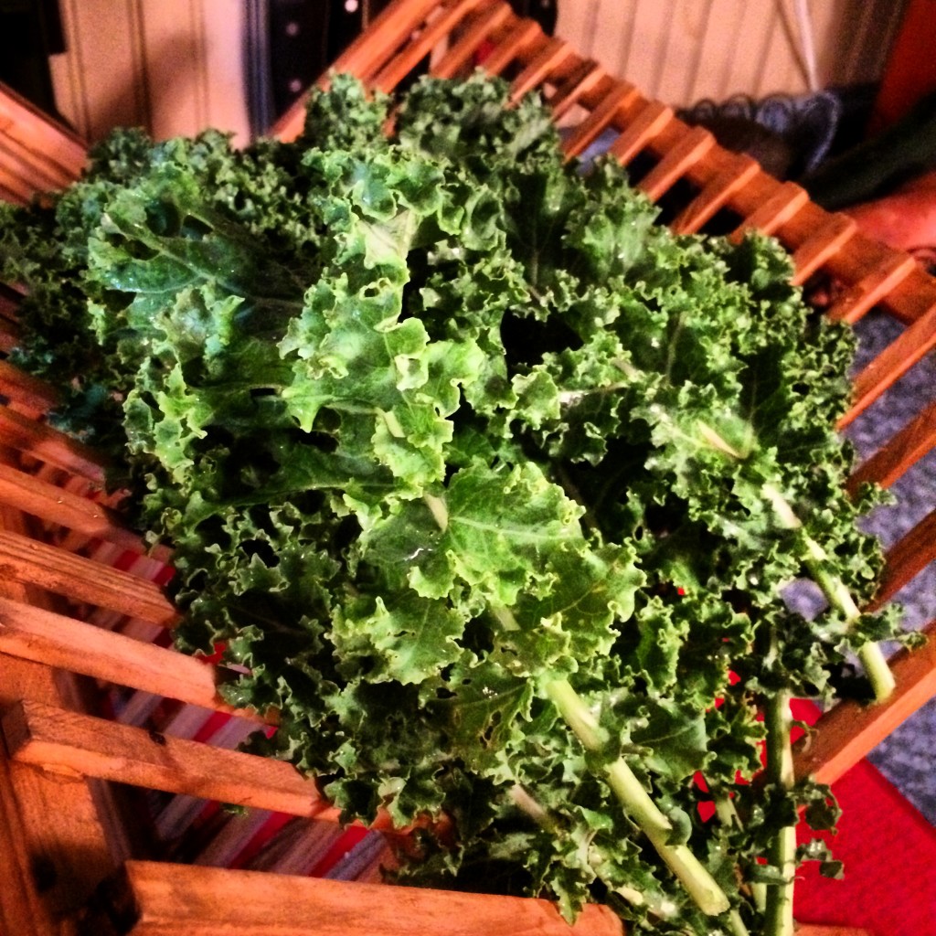 kale for sale