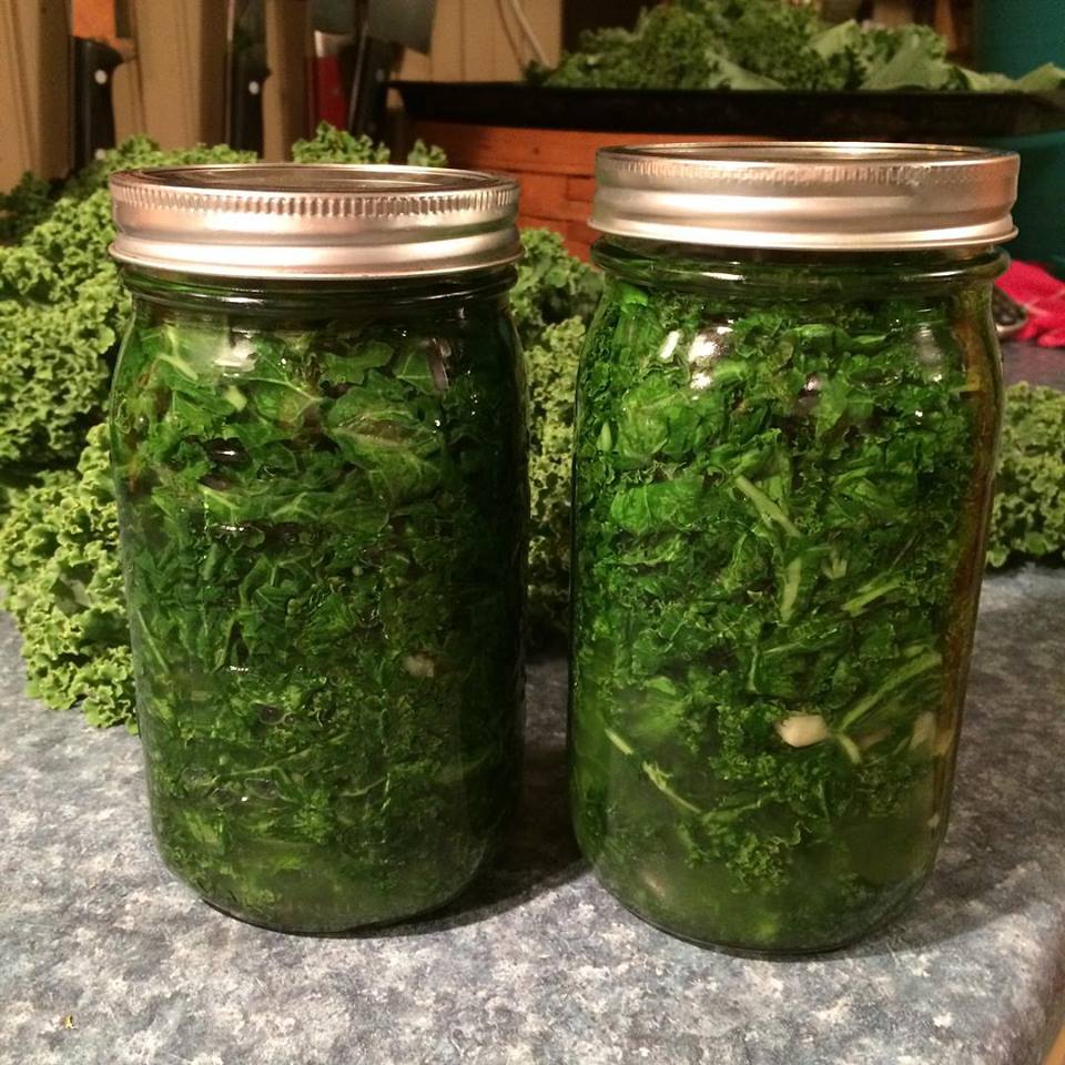 fermented kale